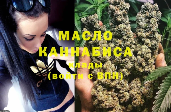 шишки Няндома