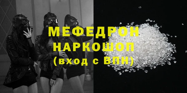 шишки Няндома