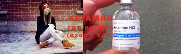 шишки Няндома