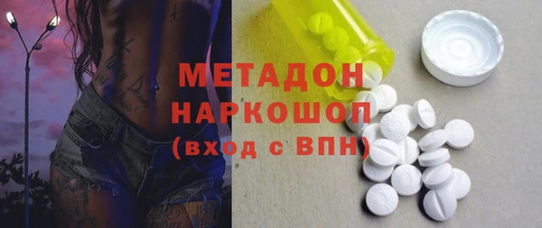 шишки Няндома