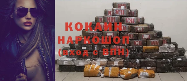 шишки Няндома