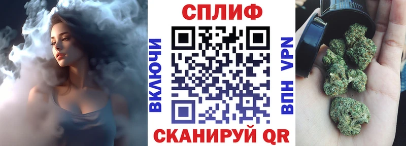 магазин продажи наркотиков  Приморско-Ахтарск  Канабис индика 